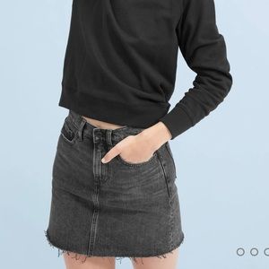 Everlane Denim Skirt